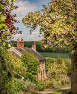 A countryside cottage