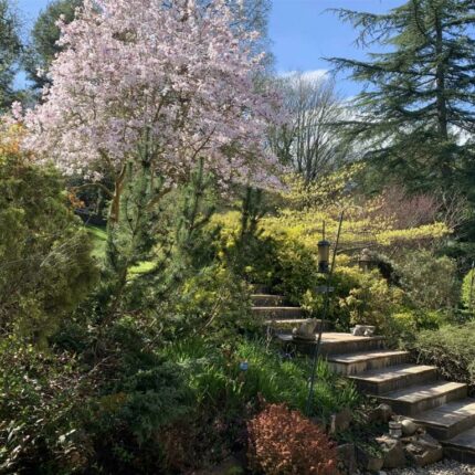 141 Ashby Road, Burton Upon Trent, Staffordshire, DE15 0LQ Gallery image 25