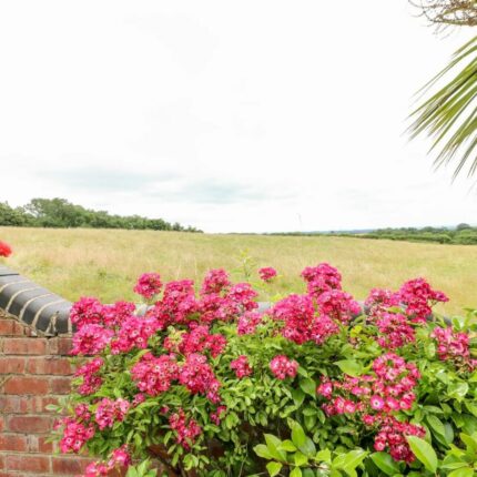The White Cottage, 70, Ashby Road East, Bretby, Burton-On-Trent, DE15 0PT Gallery image 23