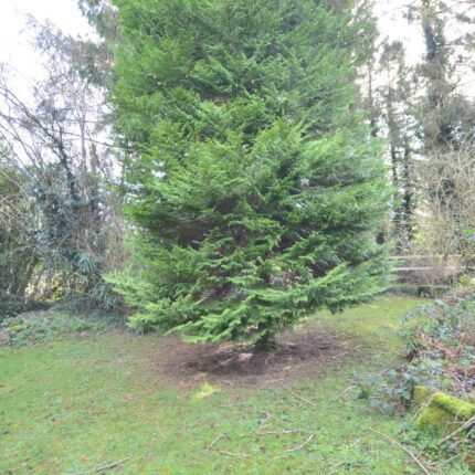 Meadow Farm House, Ireton Wood, Idridgehay, Belper, DE56 2SD Gallery image 2