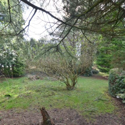 Meadow Farm House, Ireton Wood, Idridgehay, Belper, DE56 2SD Gallery image 8