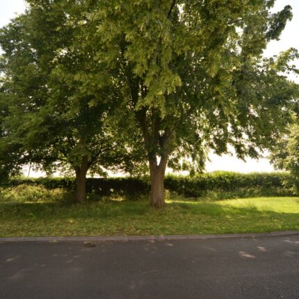 177 Nottingham Road, Spondon, Derby, DE21 7GZ Gallery image 17