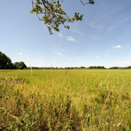 27 The Lawns, Rolleston-On-Dove, Burton-On-Trent, DE13 9DA Gallery image 32