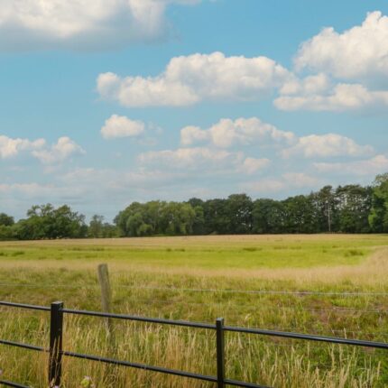 98 Duck Street, Egginton, Derby, DE65 6HG Gallery image 26