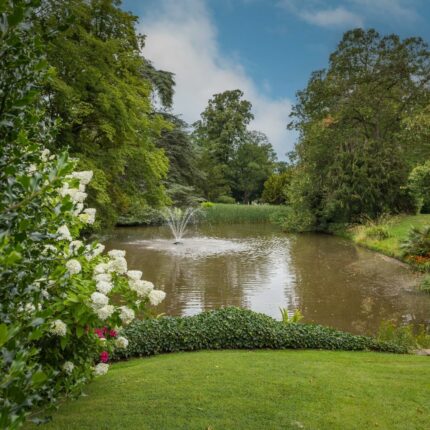 2 Newton Park, Newton Solney, Burton-On-Trent, DE15 0SX Gallery image 41