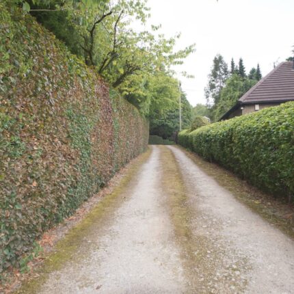 Ashes Farm, Intake Lane, Cromford, DE4 3RH Gallery image 4