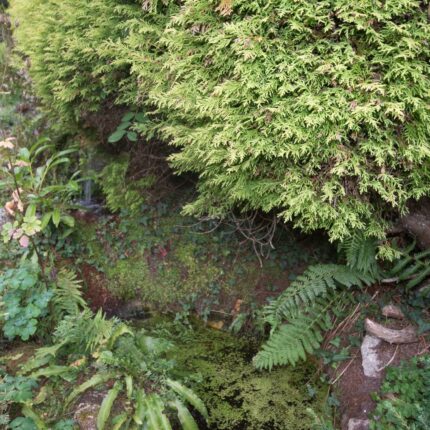 Ashes Farm, Intake Lane, Cromford, DE4 3RH Gallery image 27