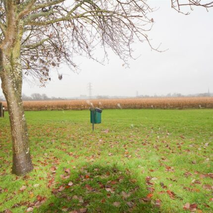 40 Sealey Close, Willington, Derbyshire, DE65 6EP Gallery image 12